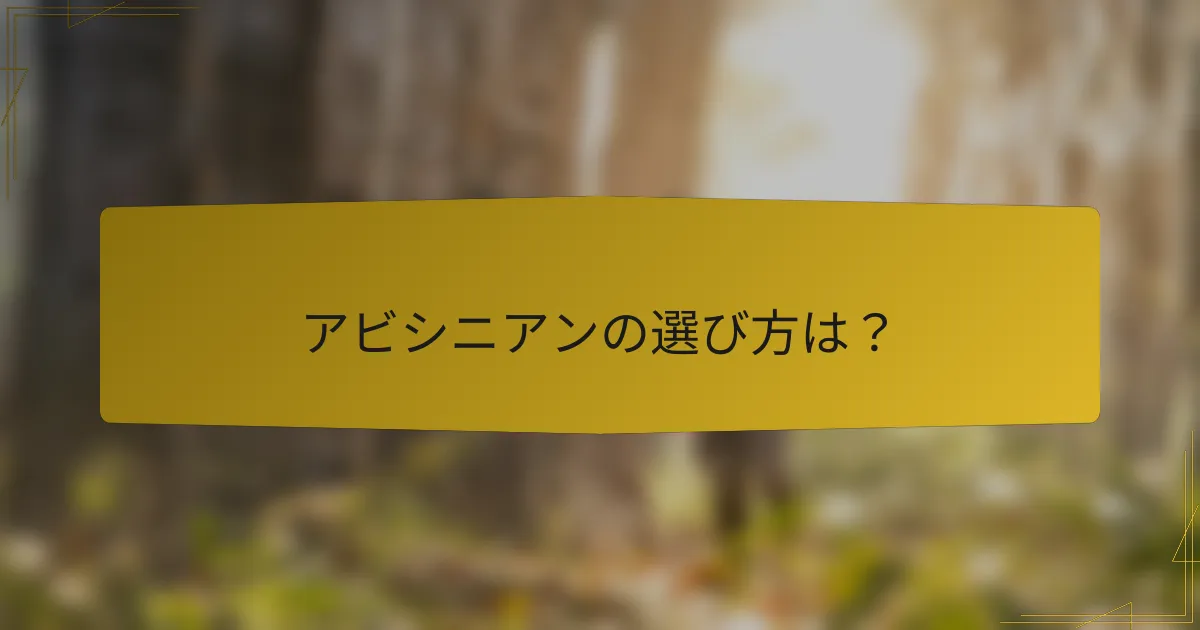 アビシニアンの選び方は?