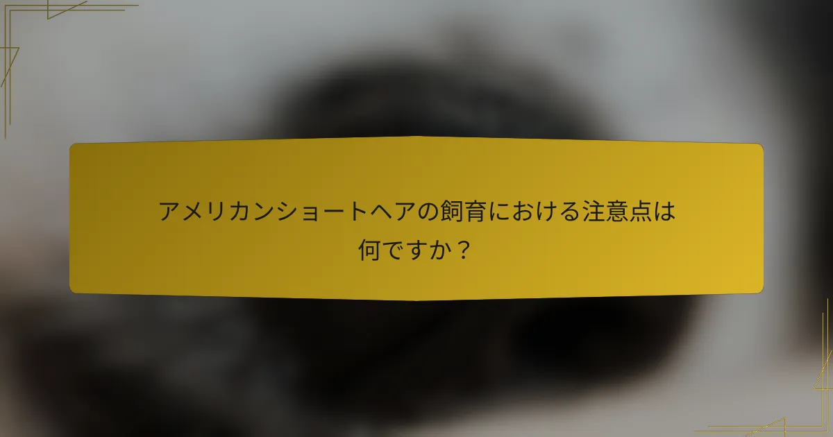 アメリカンショートヘアの飼育における注意点は何ですか?