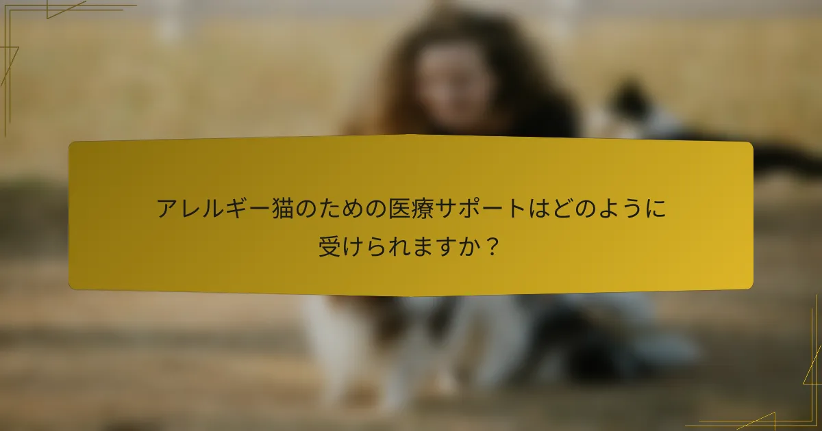 アレルギー猫のための医療サポートはどのように受けられますか?