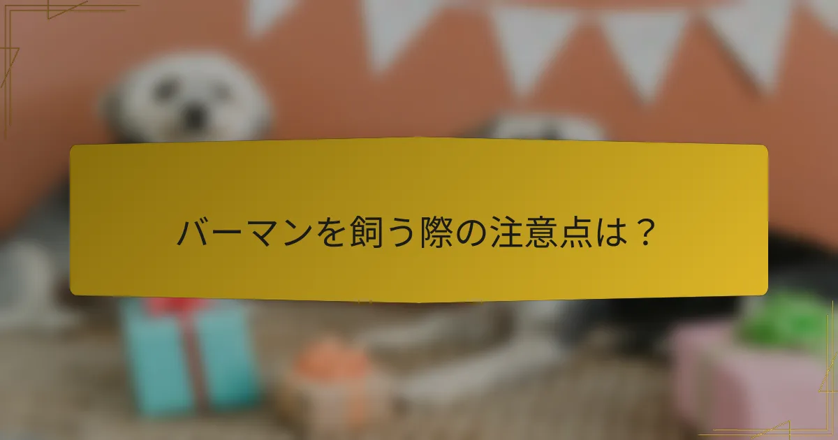 バーマンを飼う際の注意点は?