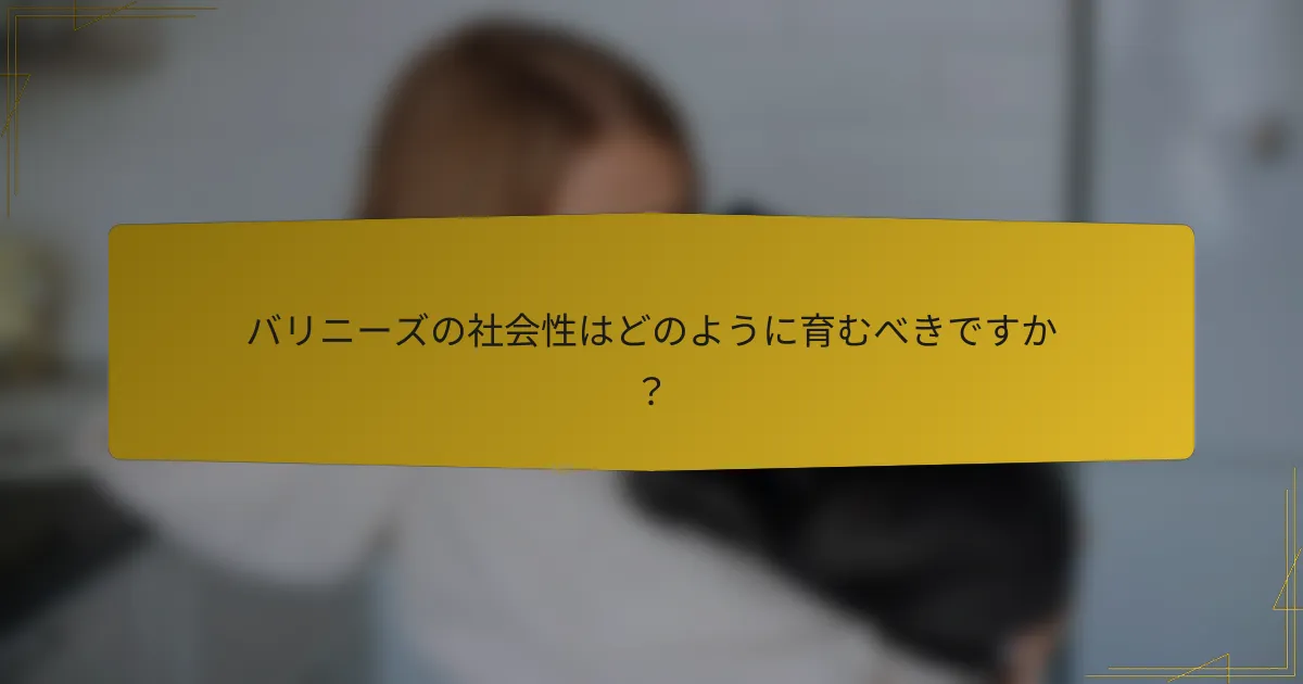バリニーズの社会性はどのように育むべきですか?