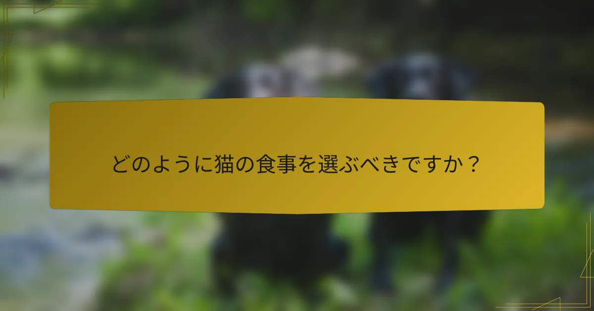 どのように猫の食事を選ぶべきですか？