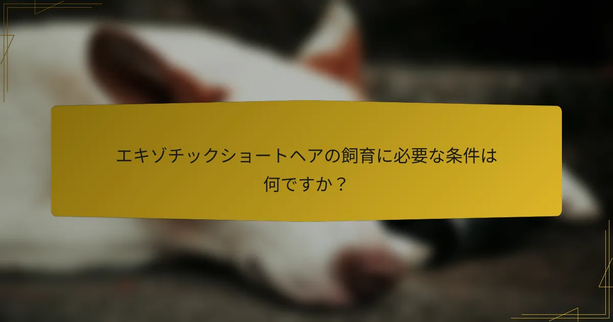 エキゾチックショートヘアの飼育に必要な条件は何ですか?