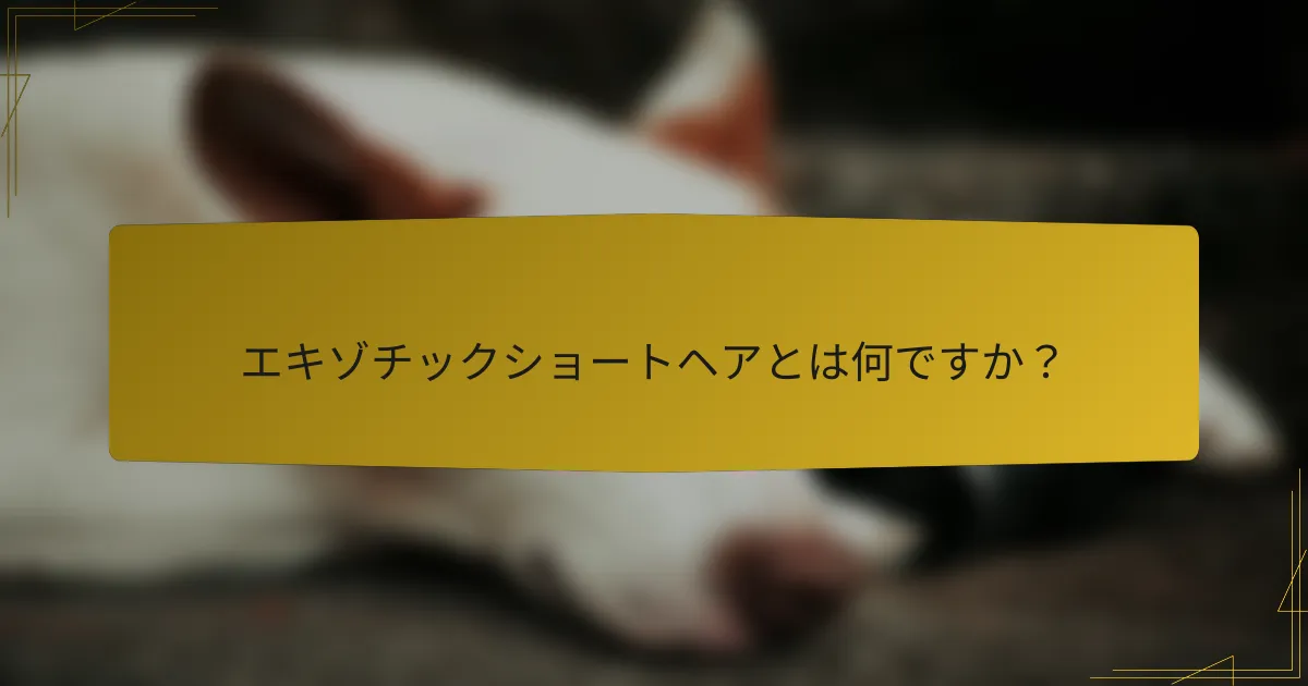 エキゾチックショートヘアとは何ですか?