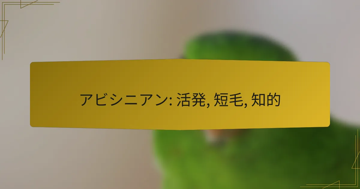 アビシニアン: 活発, 短毛, 知的