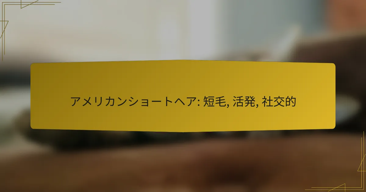 アメリカンショートヘア: 短毛, 活発, 社交的