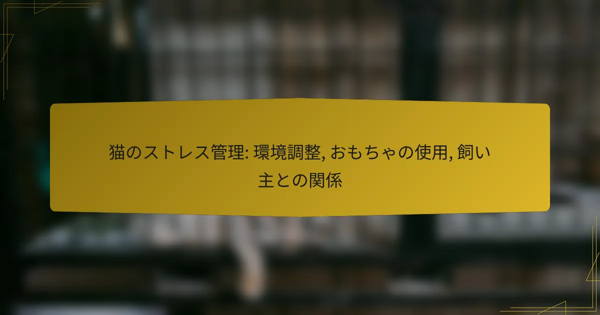 猫のストレス管理: 環境調整, おもちゃの使用, 飼い主との関係