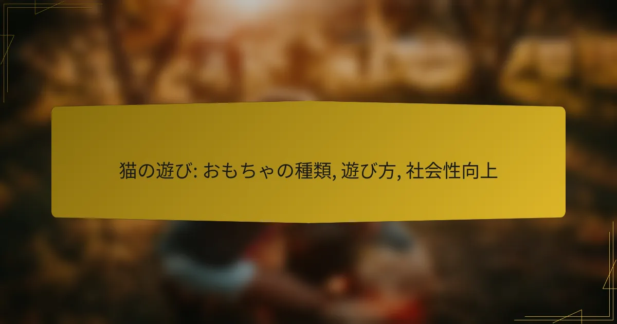 猫の遊び: おもちゃの種類, 遊び方, 社会性向上