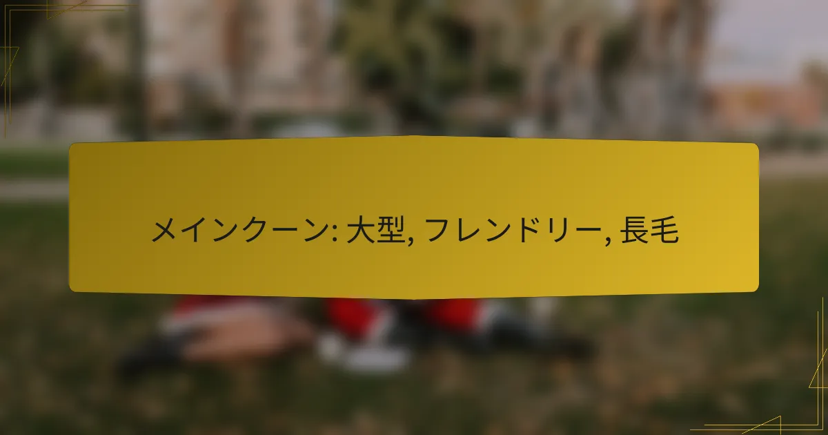 メインクーン: 大型, フレンドリー, 長毛
