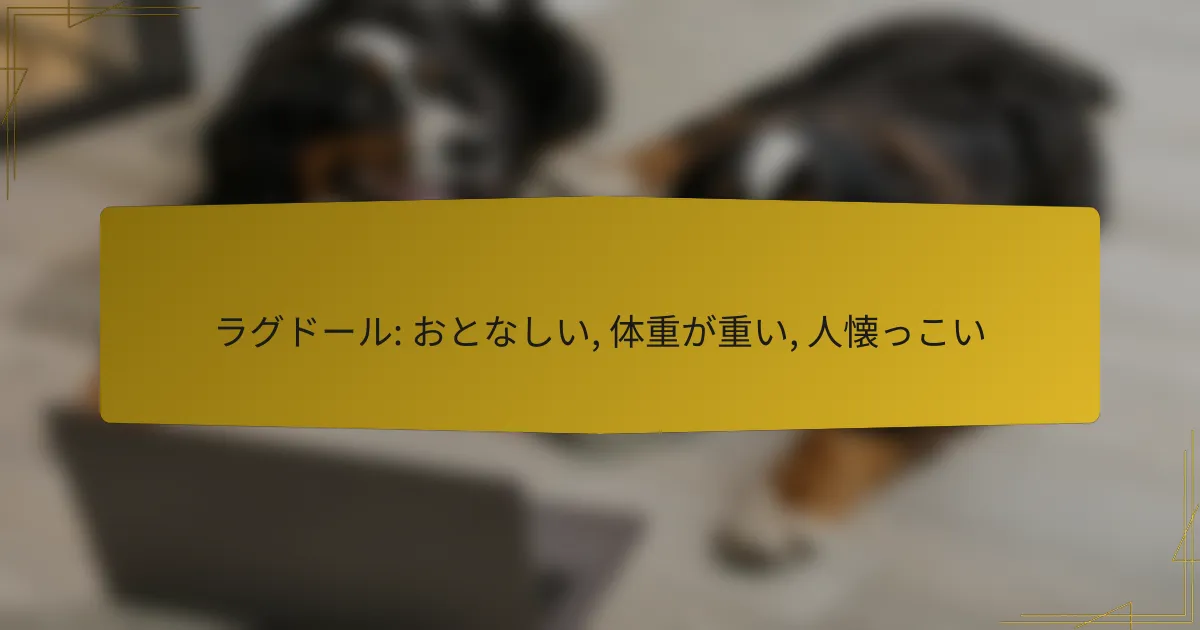 ラグドール: おとなしい, 体重が重い, 人懐っこい