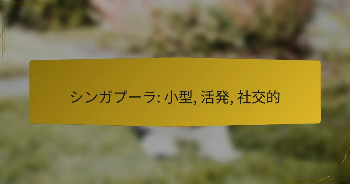 シンガプーラ: 小型, 活発, 社交的