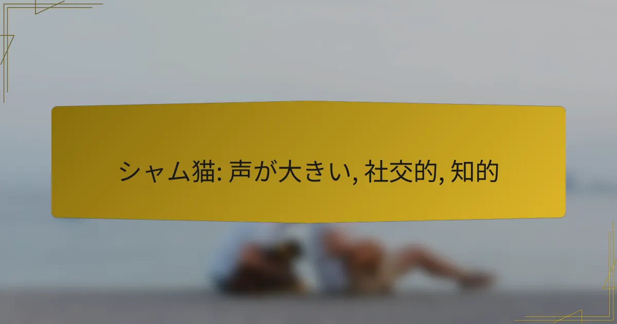 シャム猫: 声が大きい, 社交的, 知的