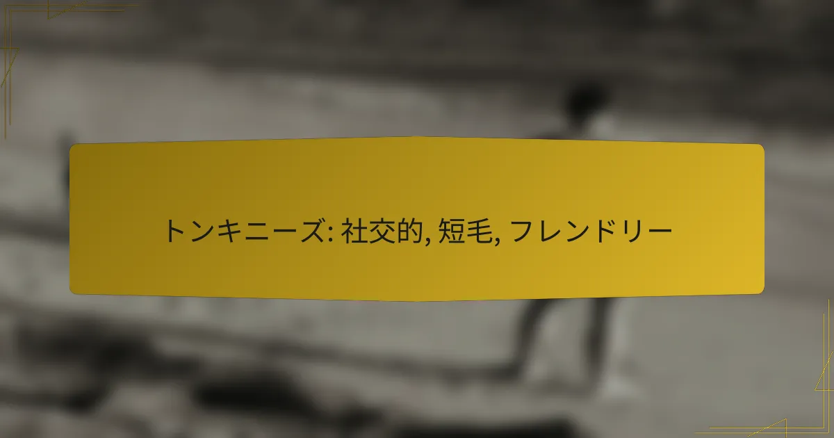 トンキニーズ: 社交的, 短毛, フレンドリー