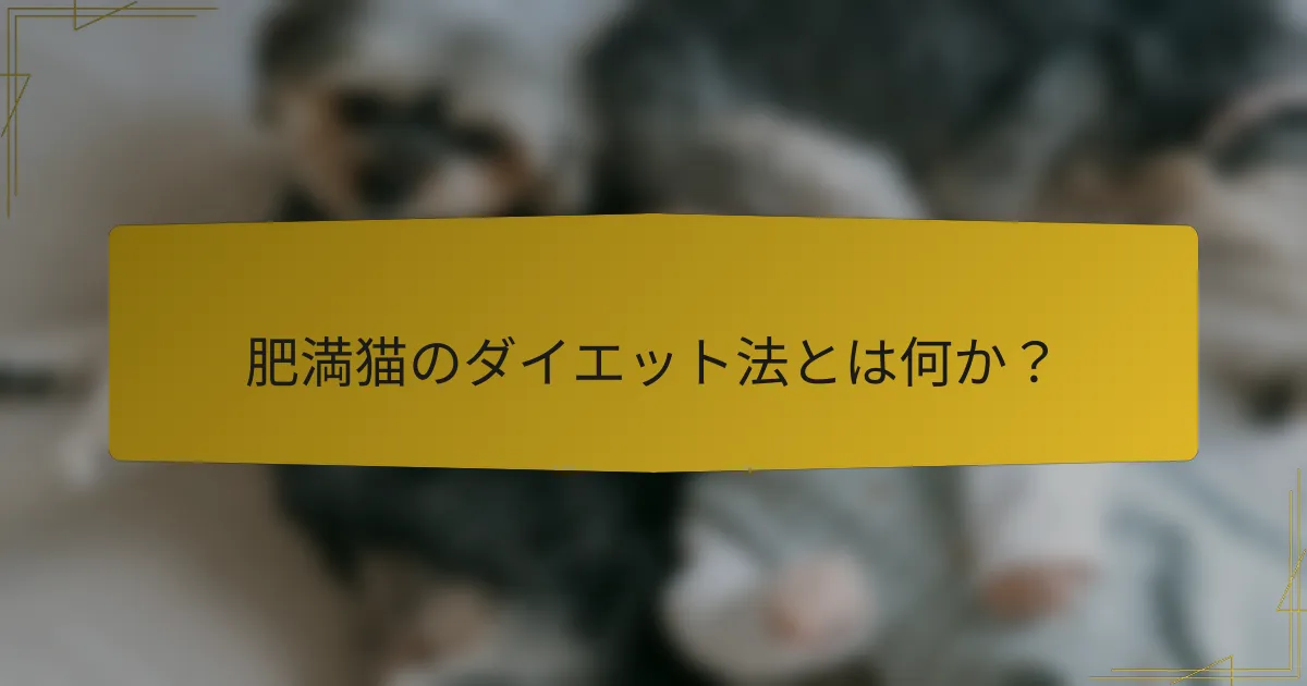 肥満猫のダイエット法とは何か？