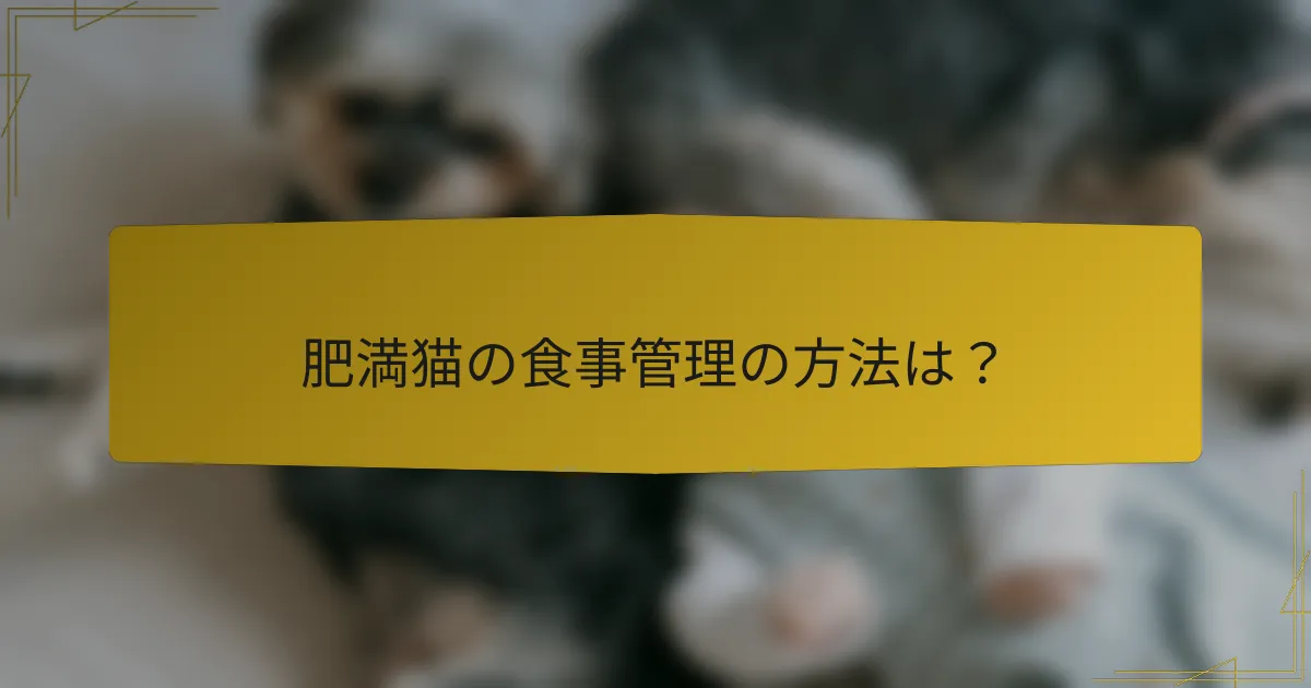 肥満猫の食事管理の方法は？