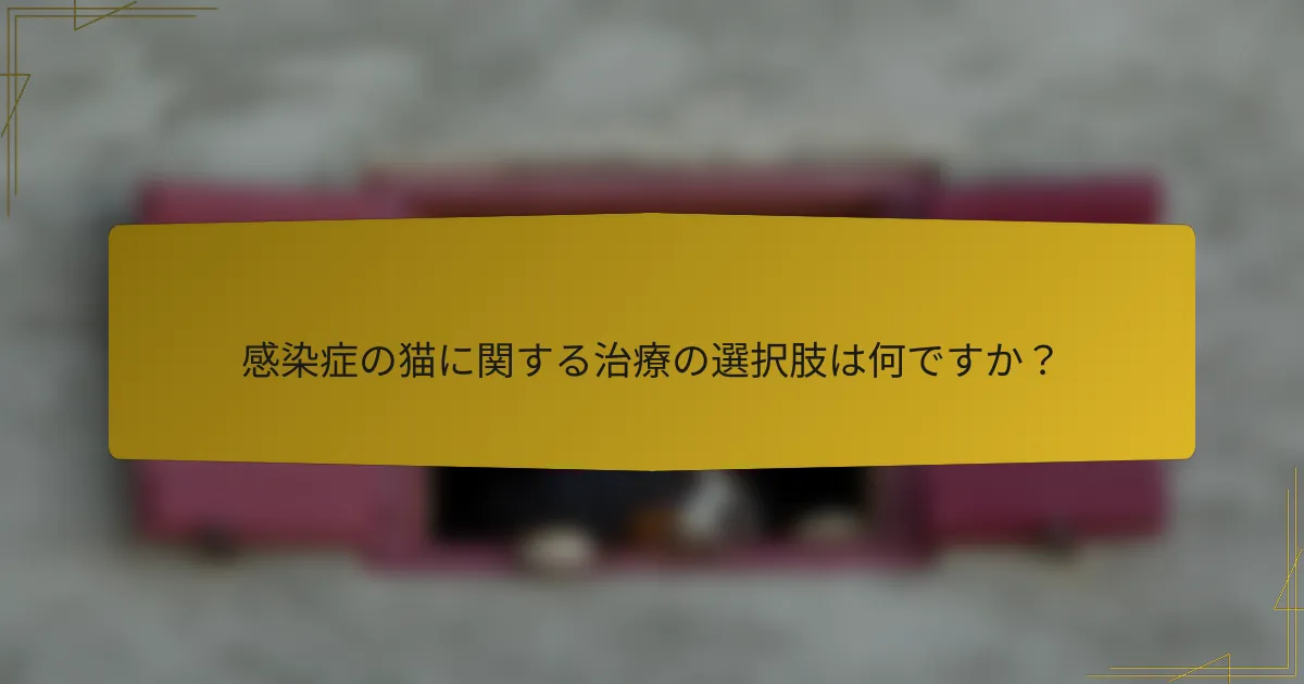 感染症の猫に関する治療の選択肢は何ですか？