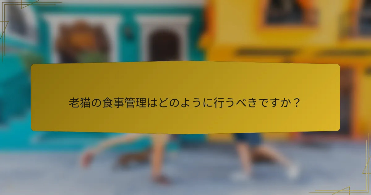 老猫の食事管理はどのように行うべきですか？