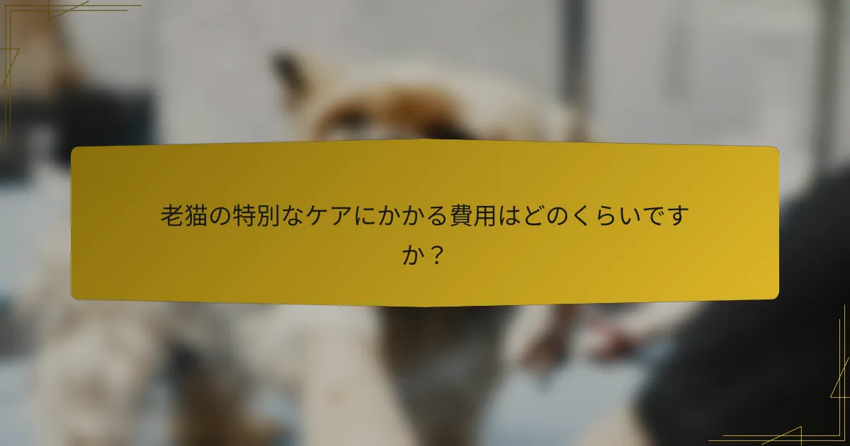 老猫の特別なケアにかかる費用はどのくらいですか?