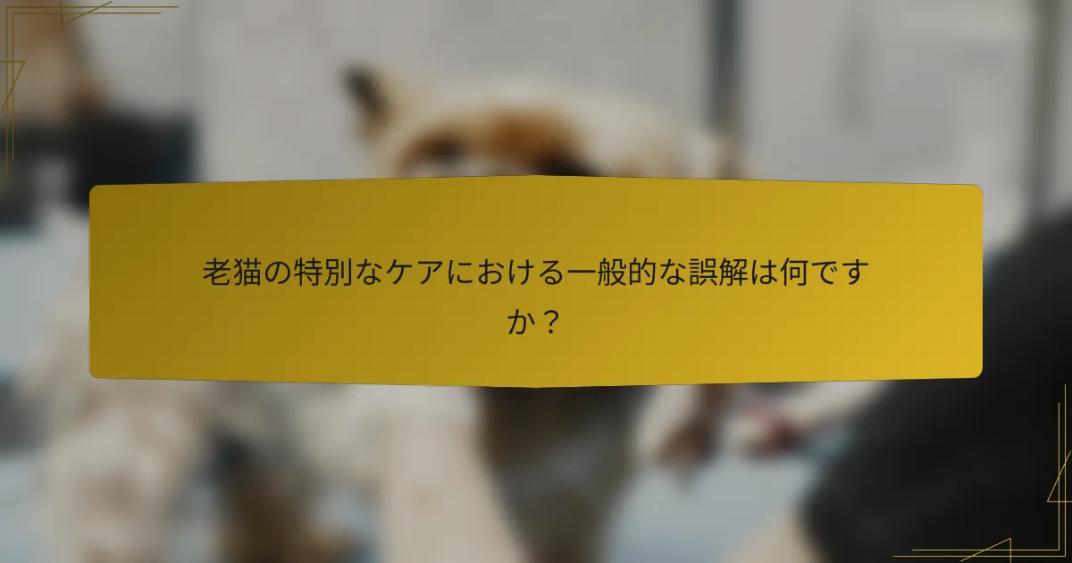 老猫の特別なケアにおける一般的な誤解は何ですか?
