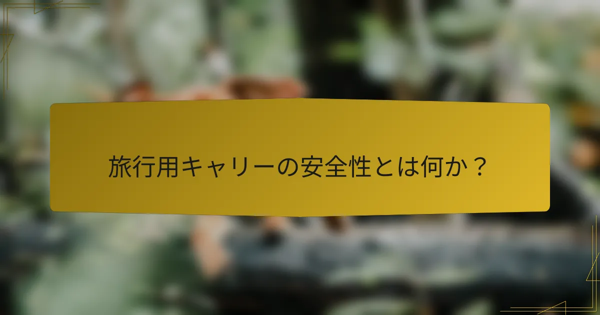 旅行用キャリーの安全性とは何か?