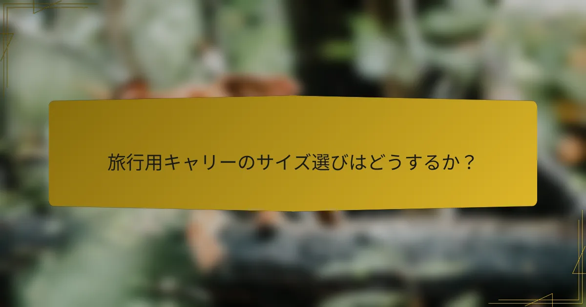 旅行用キャリーのサイズ選びはどうするか?