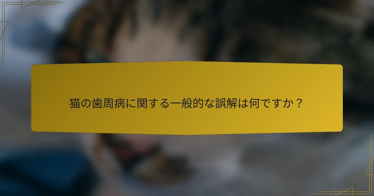 猫の歯周病に関する一般的な誤解は何ですか？