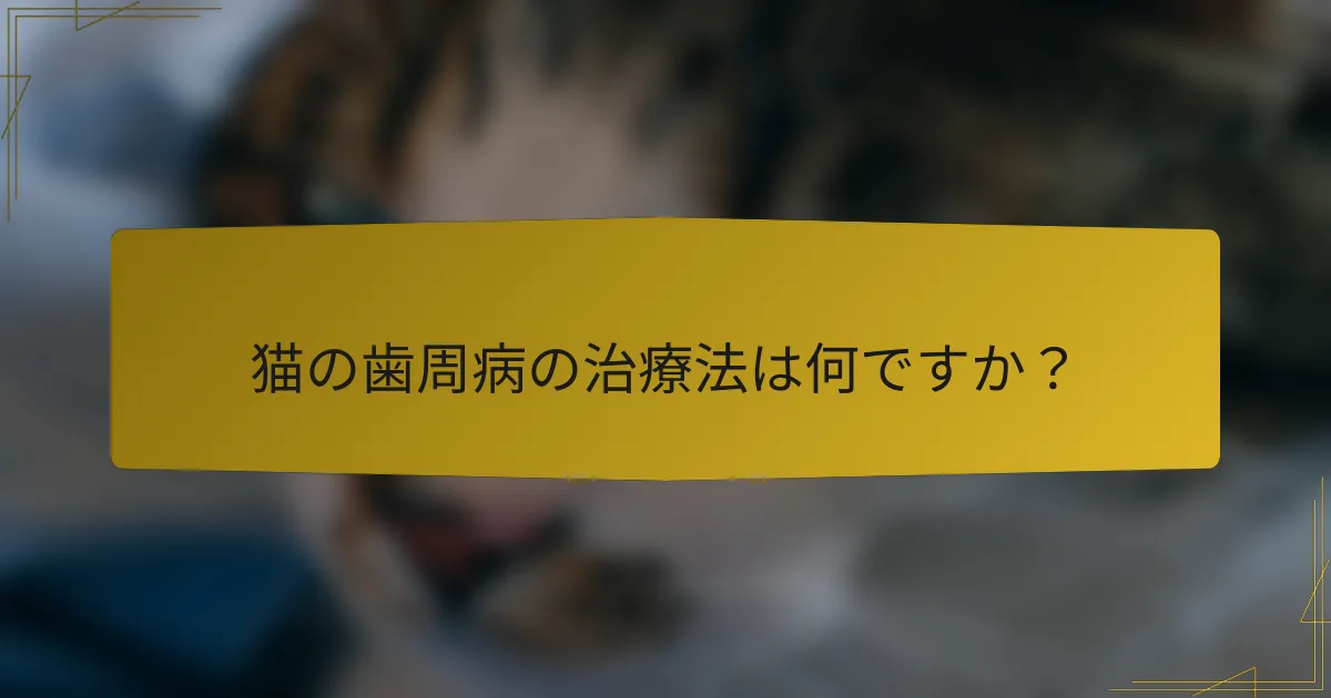 猫の歯周病の治療法は何ですか？