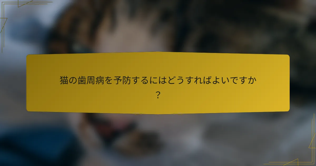 猫の歯周病を予防するにはどうすればよいですか？