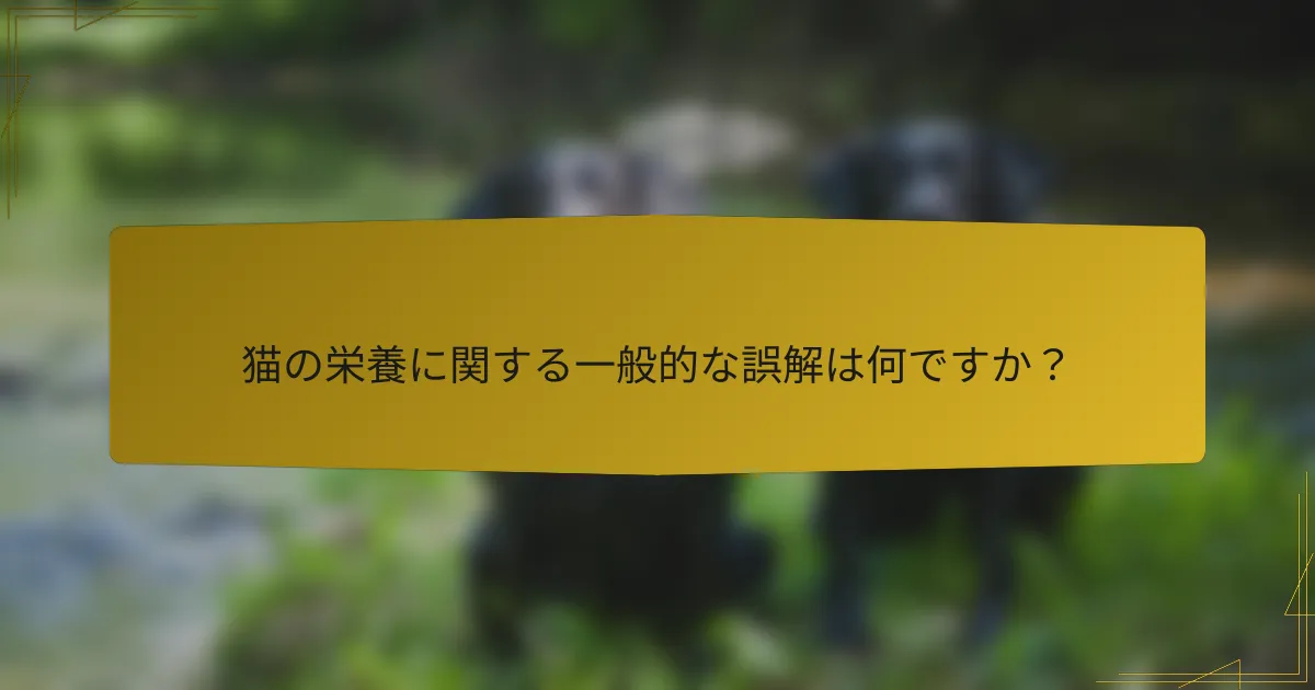 猫の栄養に関する一般的な誤解は何ですか？