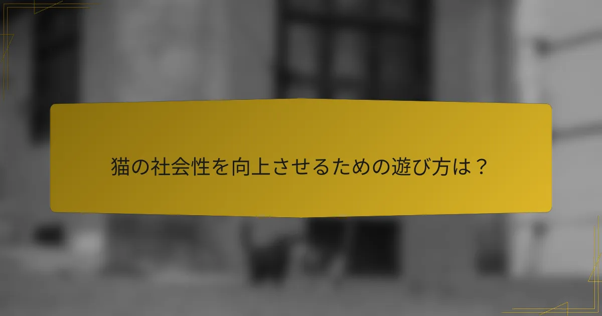 猫の社会性を向上させるための遊び方は?