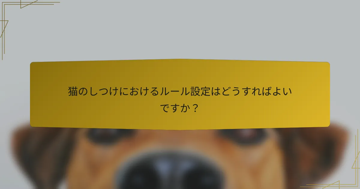 猫のしつけにおけるルール設定はどうすればよいですか?