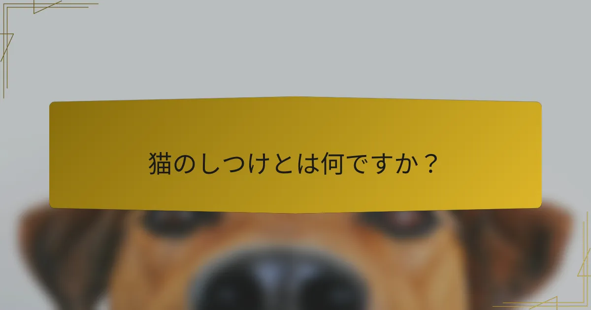 猫のしつけとは何ですか?