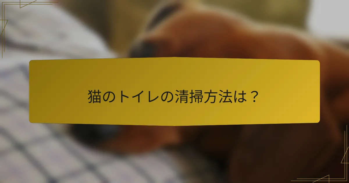 猫のトイレの清掃方法は?