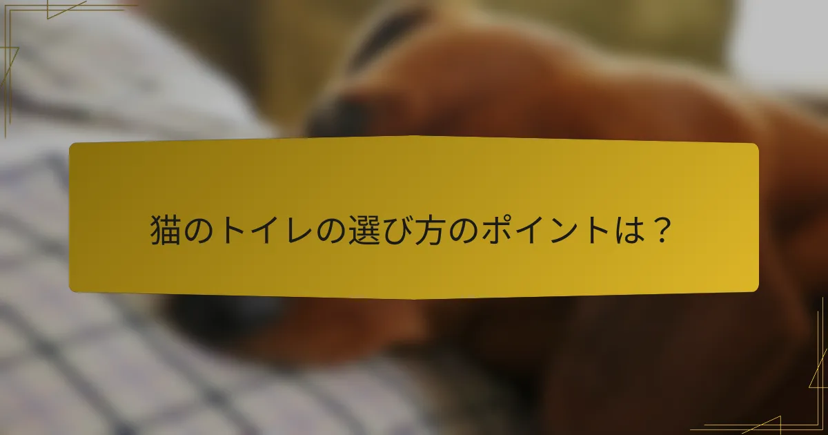 猫のトイレの選び方のポイントは?