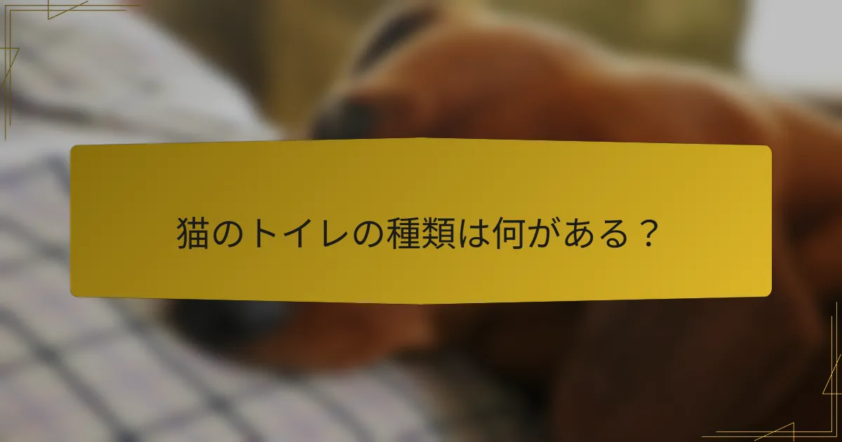 猫のトイレの種類は何がある?