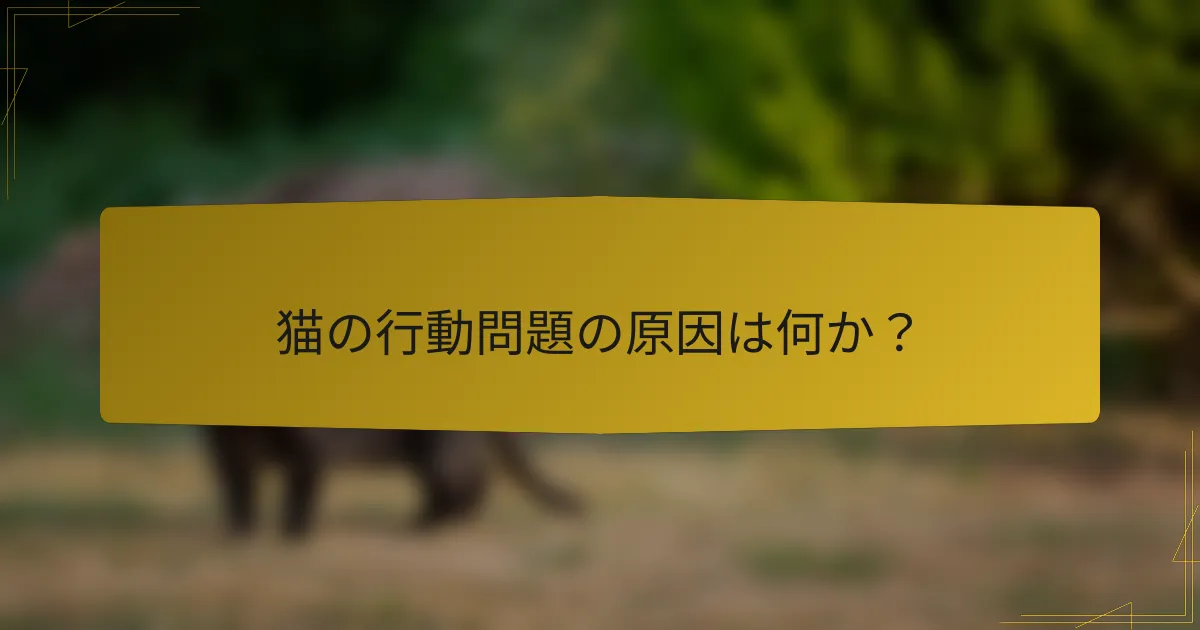 猫の行動問題の原因は何か？
