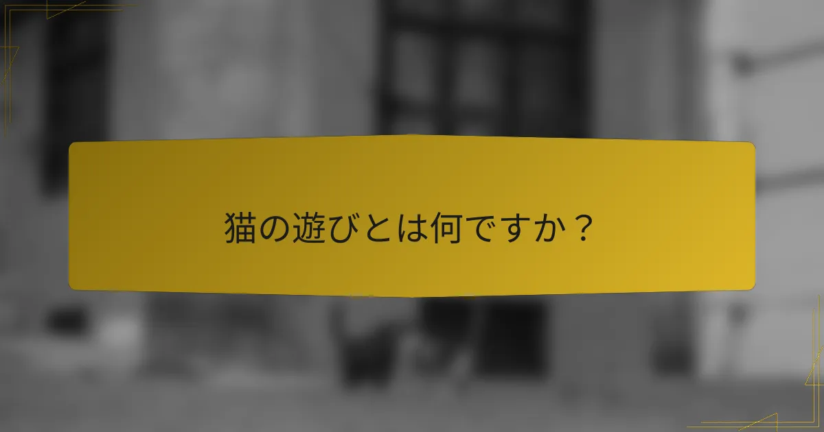 猫の遊びとは何ですか?