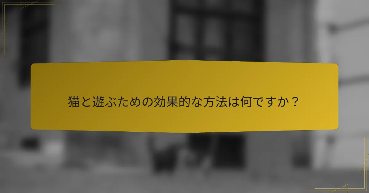 猫と遊ぶための効果的な方法は何ですか?