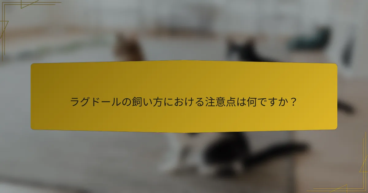 ラグドールの飼い方における注意点は何ですか?