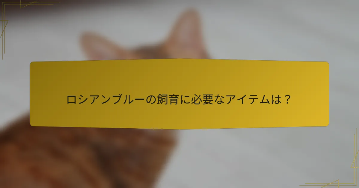 ロシアンブルーの飼育に必要なアイテムは?