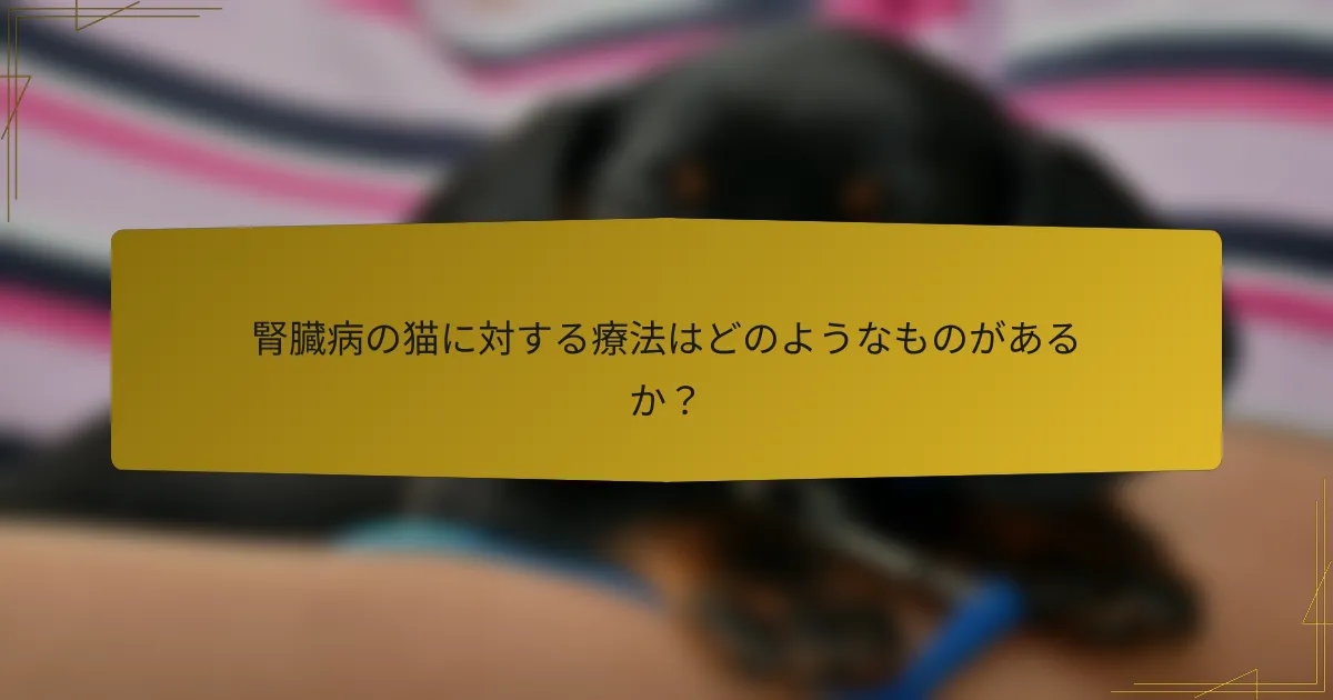 腎臓病の猫に対する療法はどのようなものがあるか？