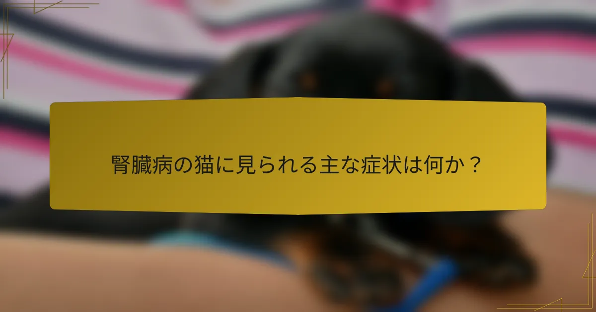 腎臓病の猫に見られる主な症状は何か？