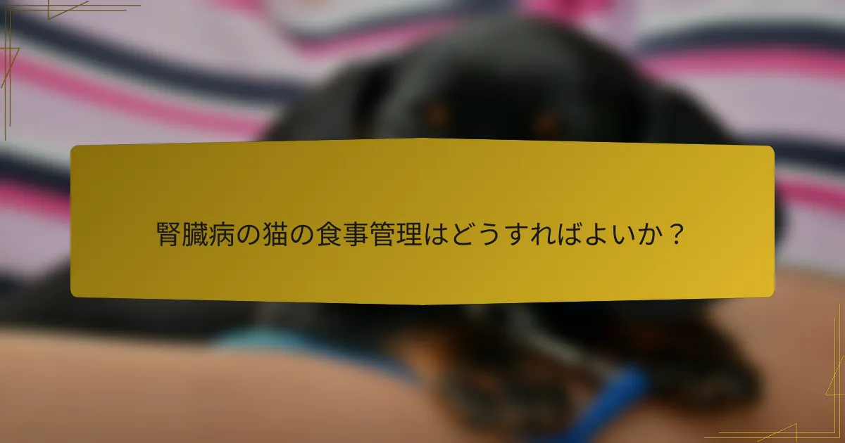 腎臓病の猫の食事管理はどうすればよいか？