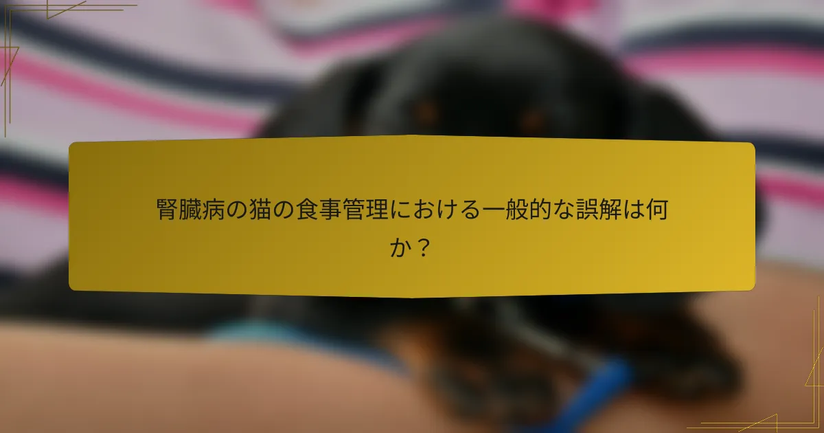 腎臓病の猫の食事管理における一般的な誤解は何か？