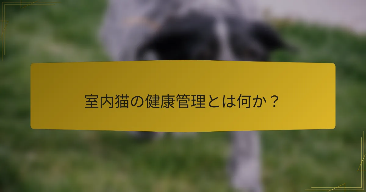 室内猫の健康管理とは何か？