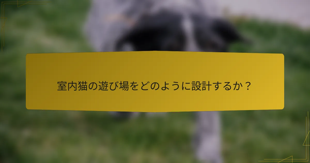 室内猫の遊び場をどのように設計するか？