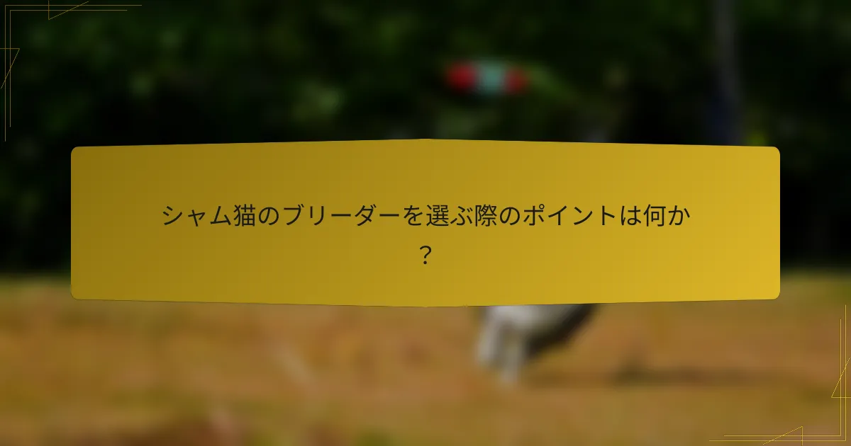 シャム猫のブリーダーを選ぶ際のポイントは何か?