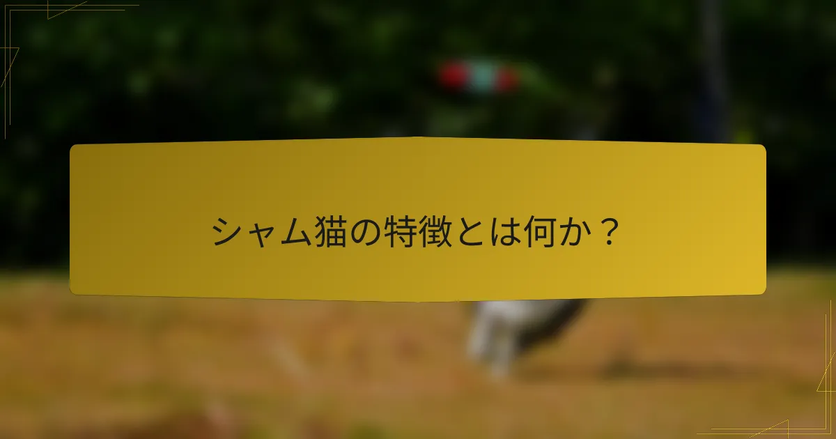 シャム猫の特徴とは何か?