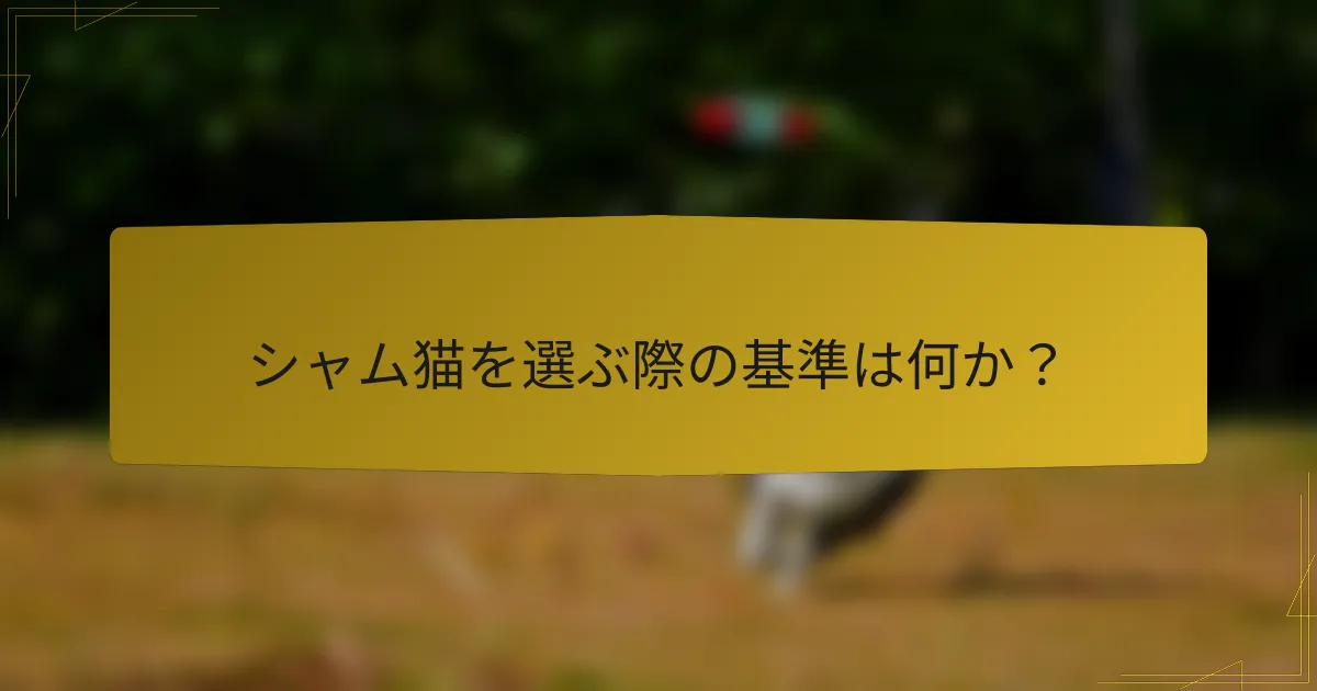シャム猫を選ぶ際の基準は何か?