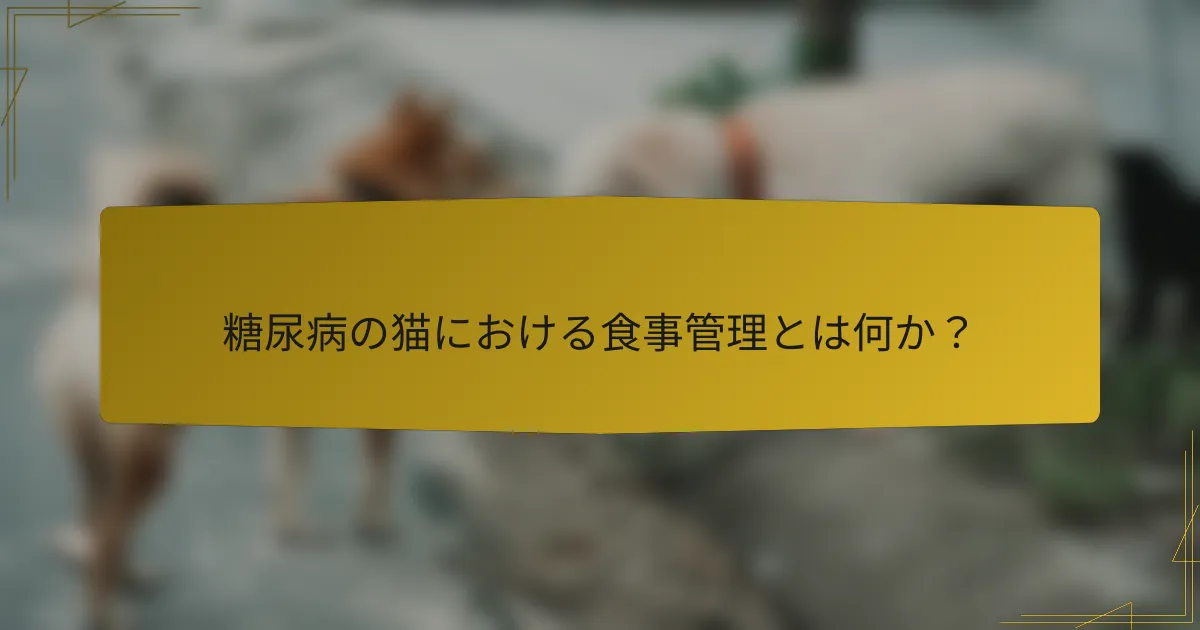 糖尿病の猫における食事管理とは何か？
